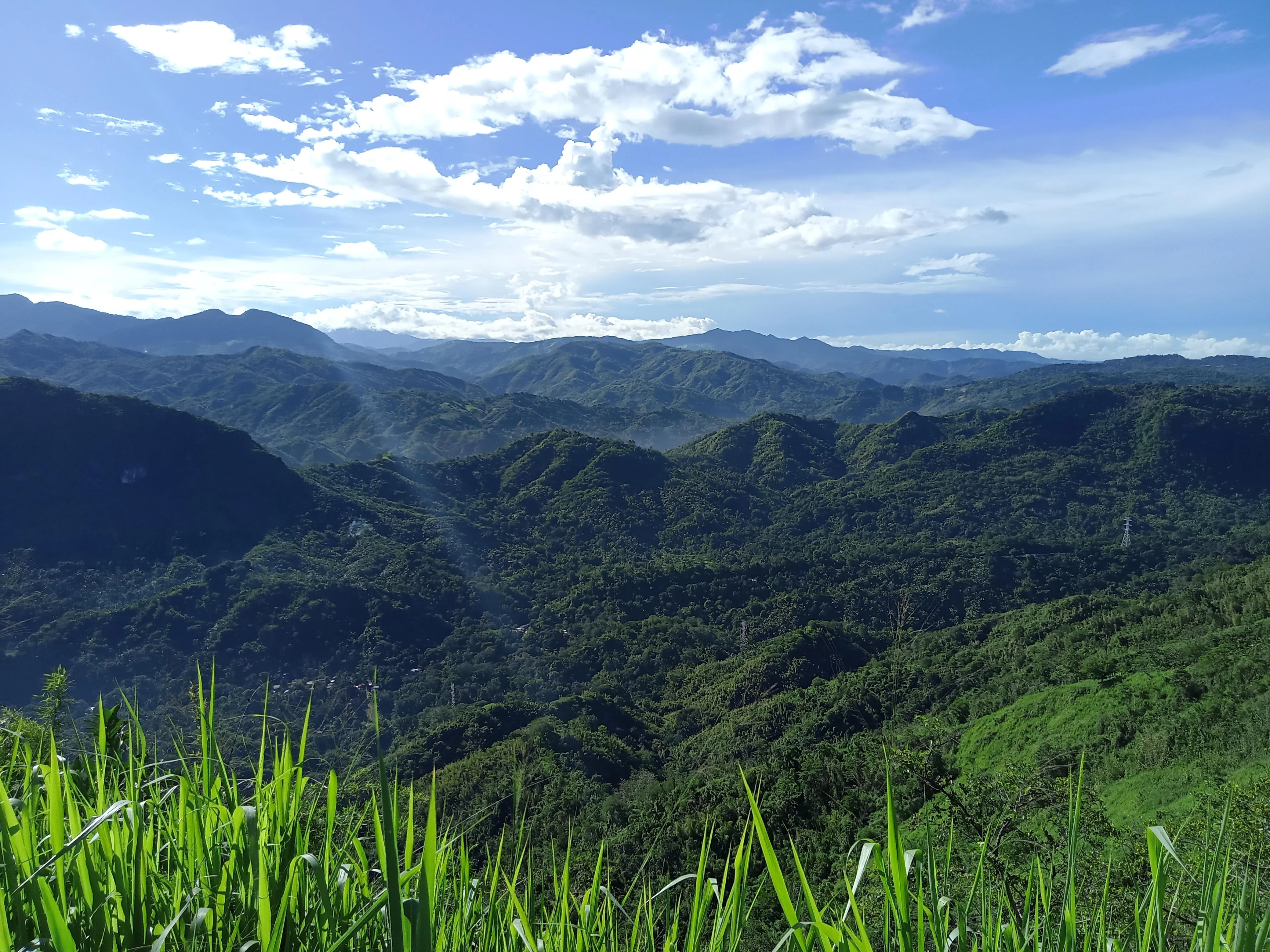 Sierra Madre Canopy Lookout