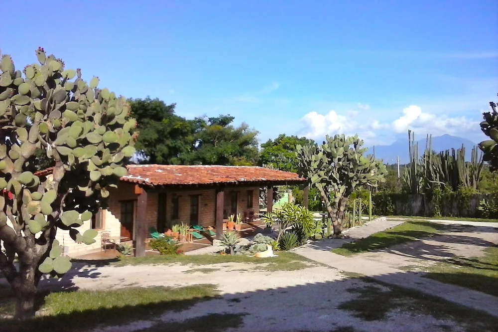 Traditional Ranches