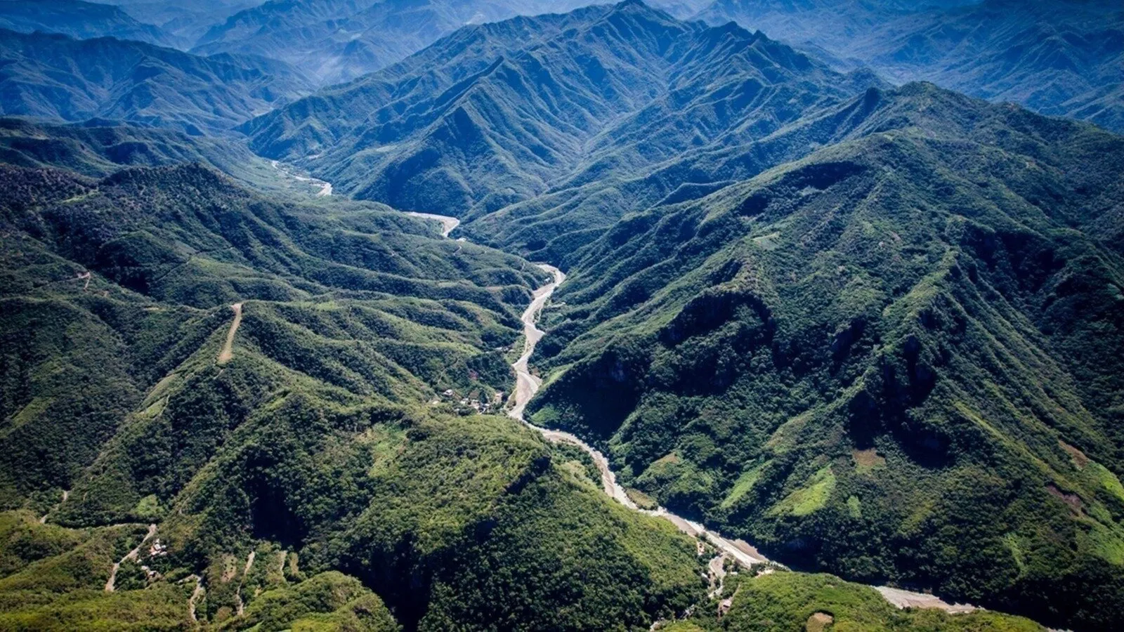 Mountain Canopy