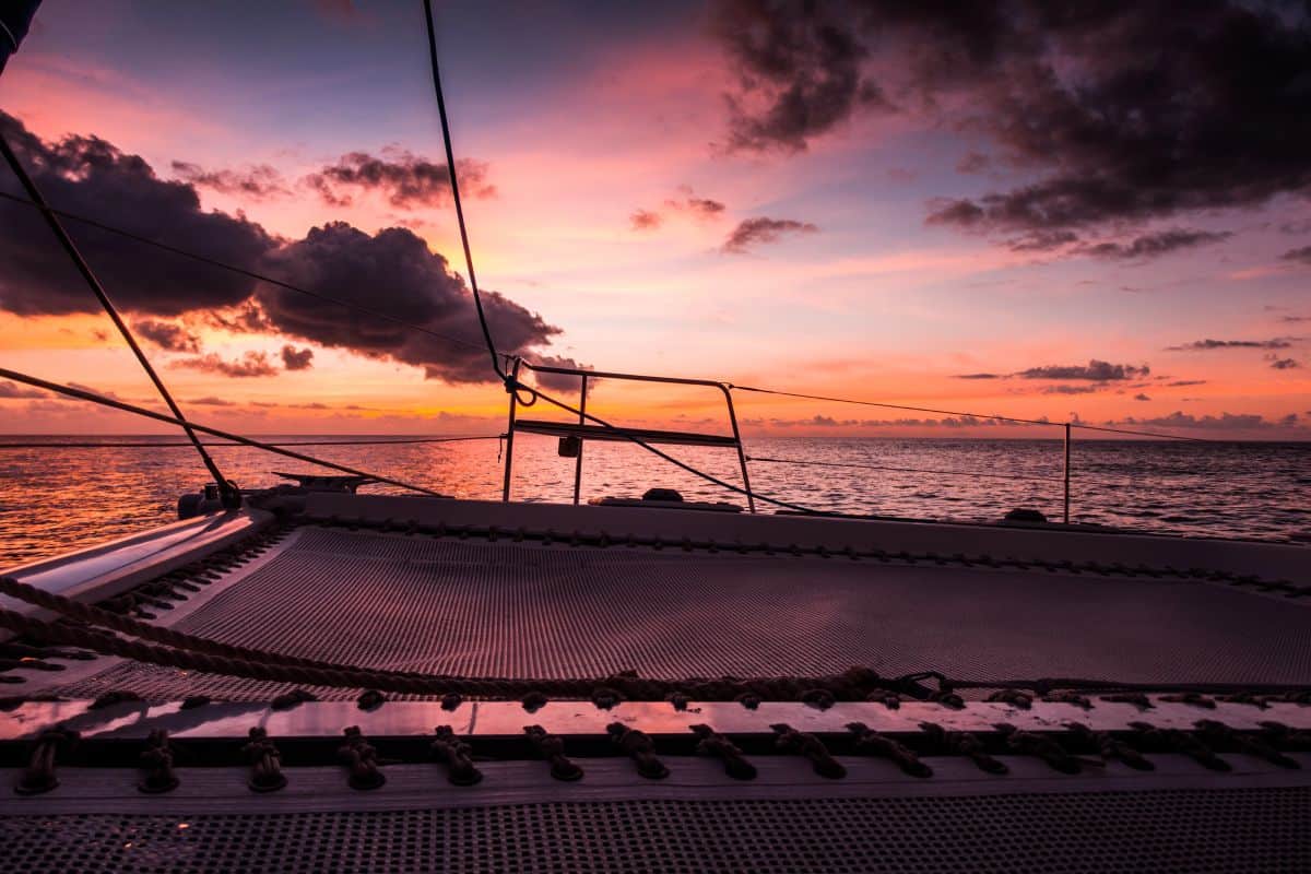 Catamaran Bow Netting