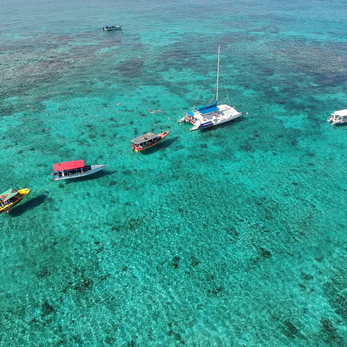 Booby Cay Reef