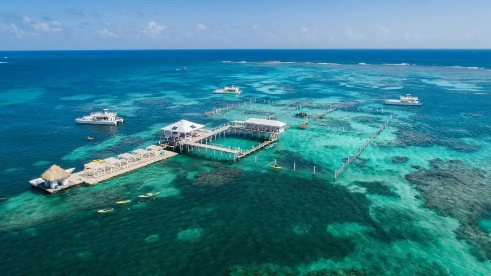 Marinarium Reef