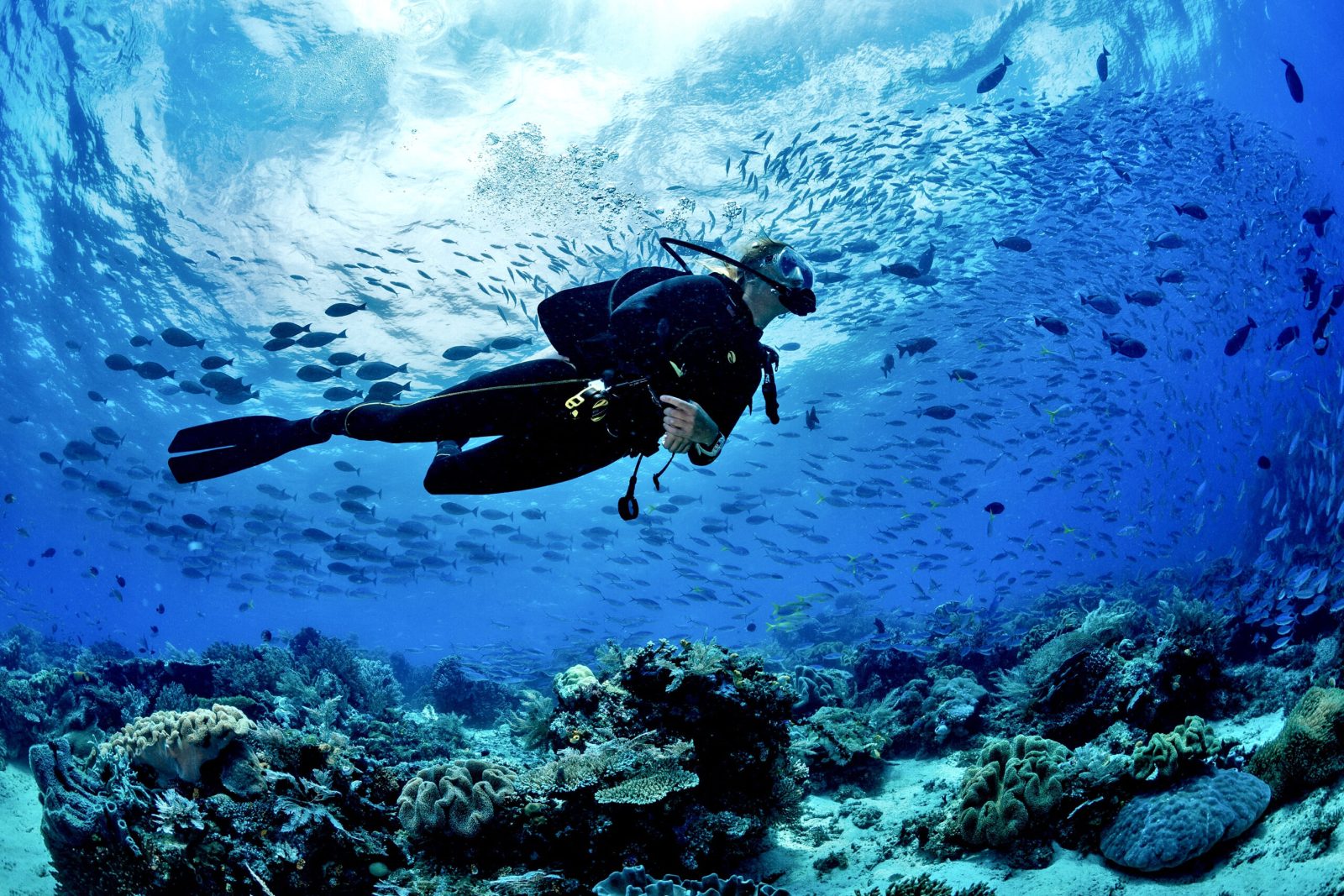 Punta Cana Diving Excursions