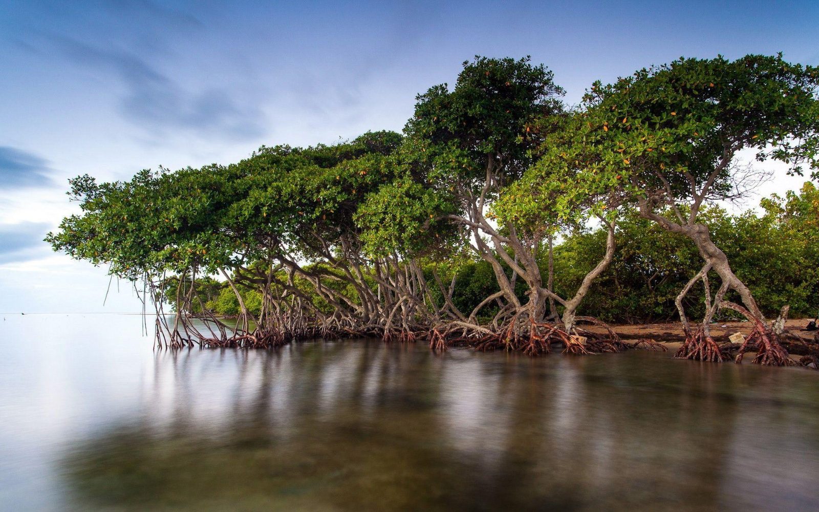Bávaro Lagoon