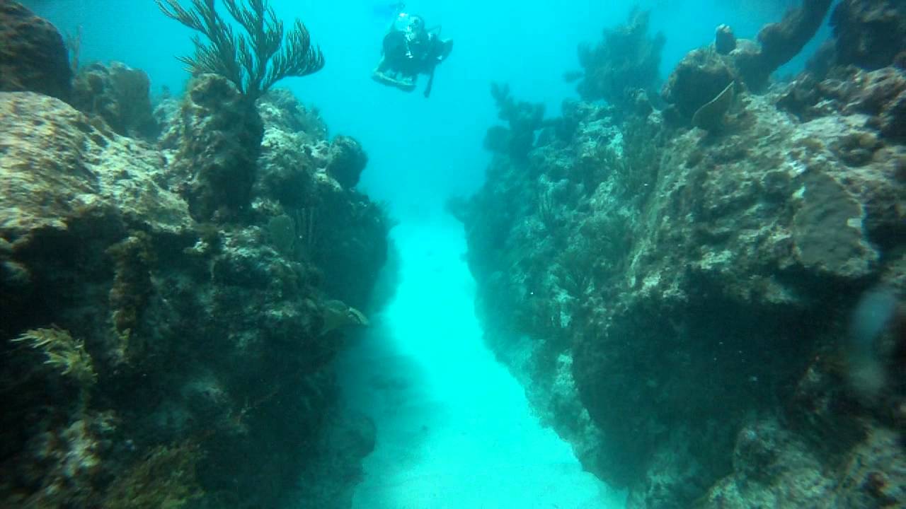 Bávaro Reef Edge
