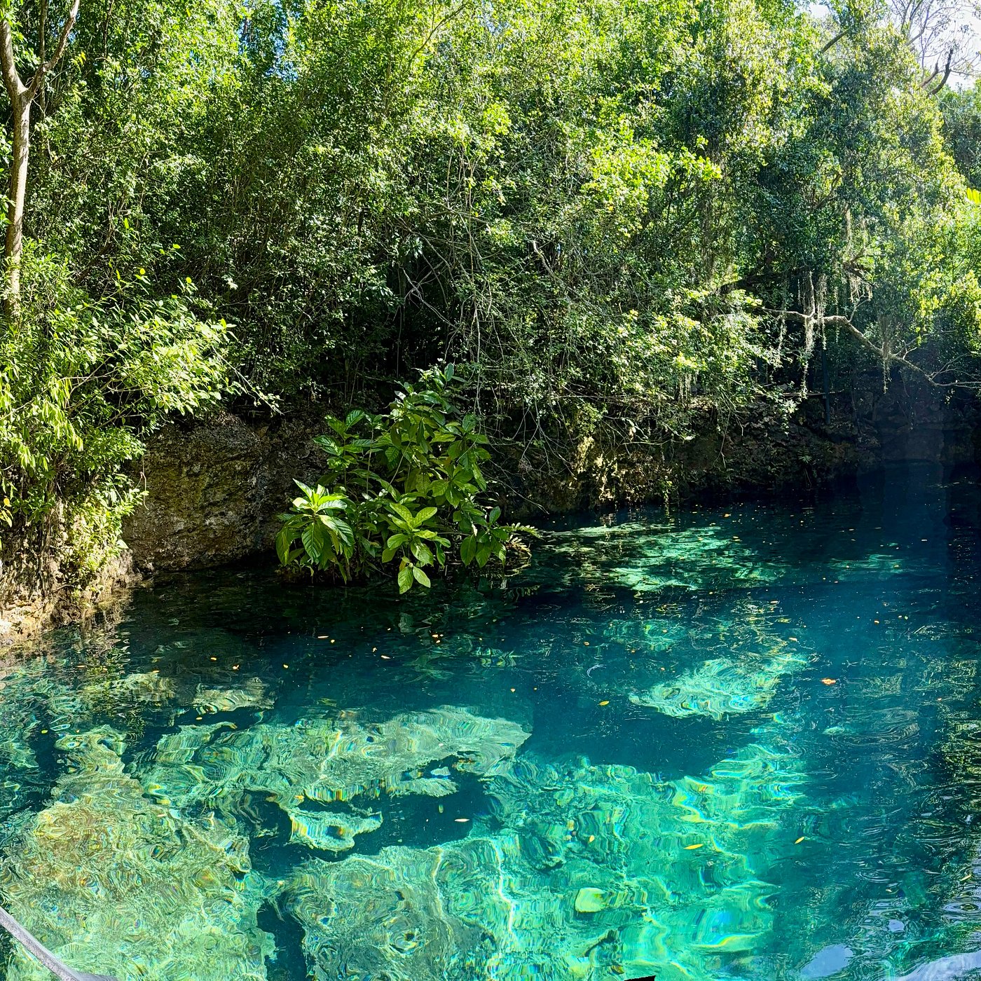 Indigenous Eyes Ecological Park