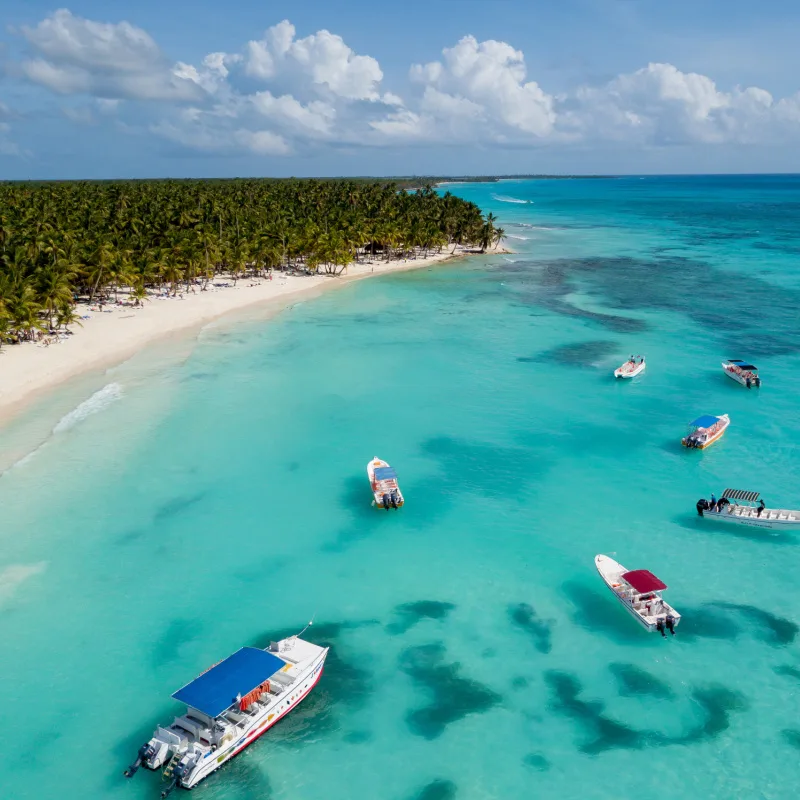 Punta Cana Shoreline