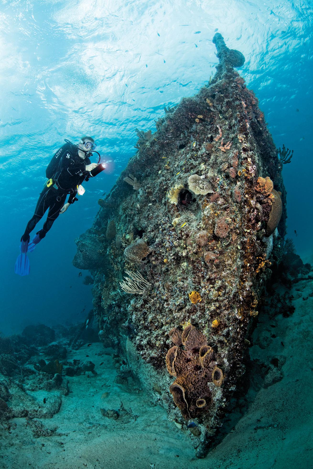 Berwyn Wreck