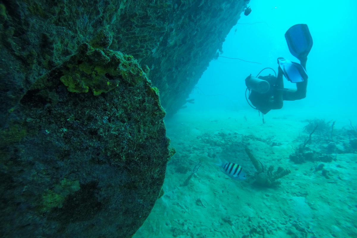 Sea Horses Wreck