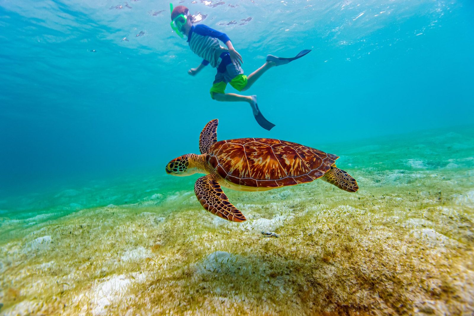 Underwater Marine Corridor