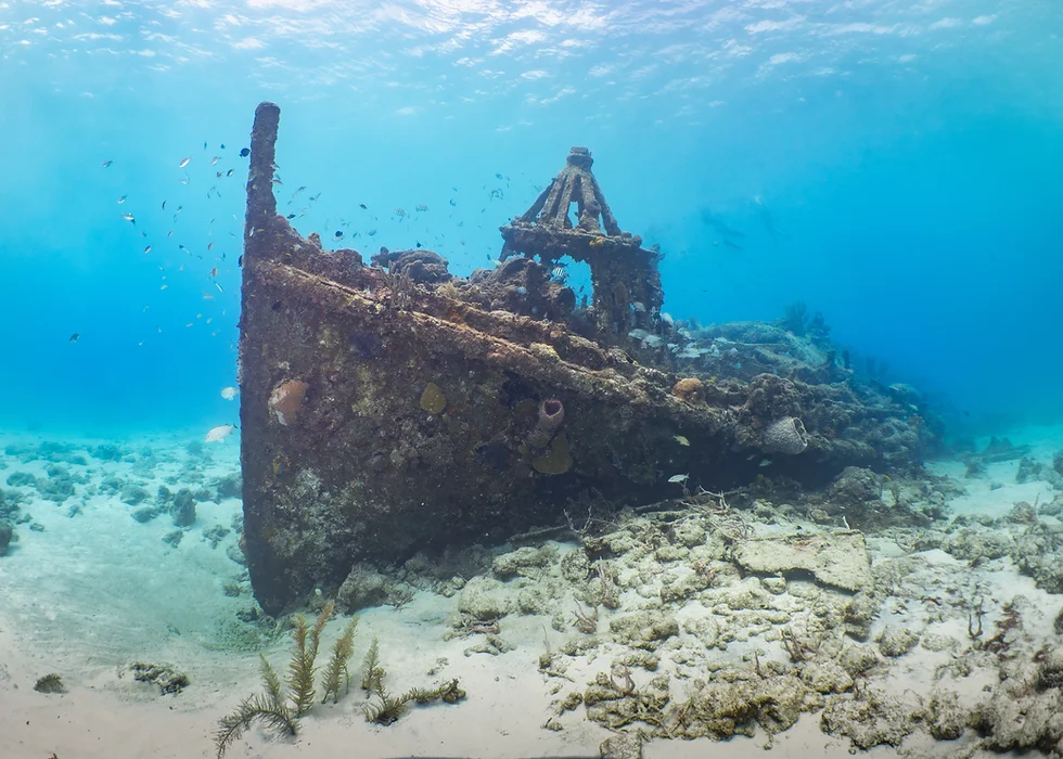 Berwyn Shipwreck Mast