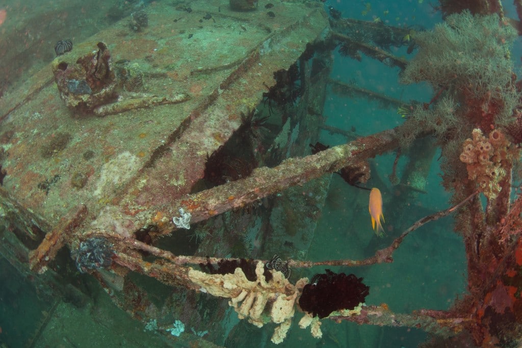 Camia Wreck