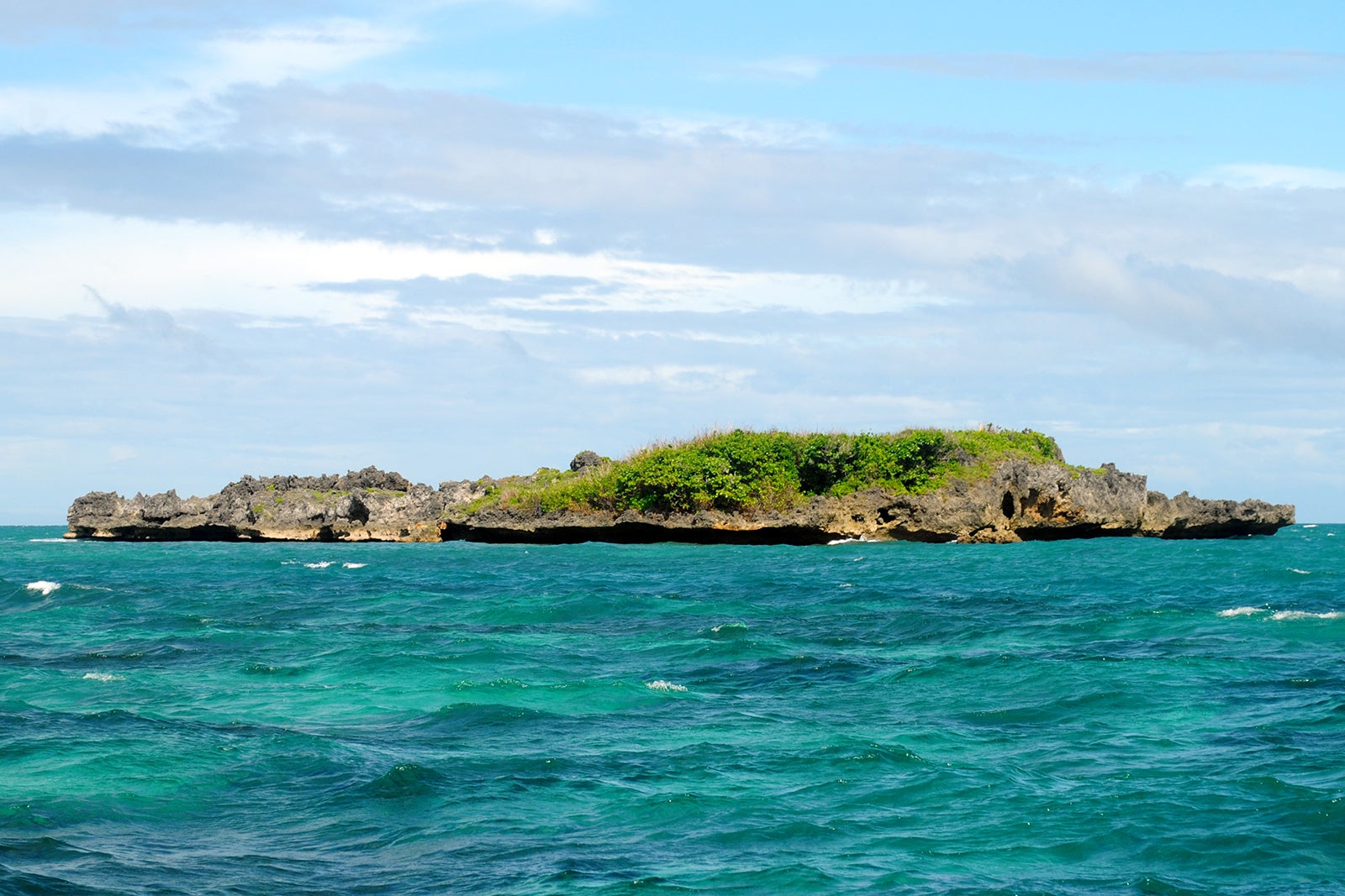 Crocodile Island