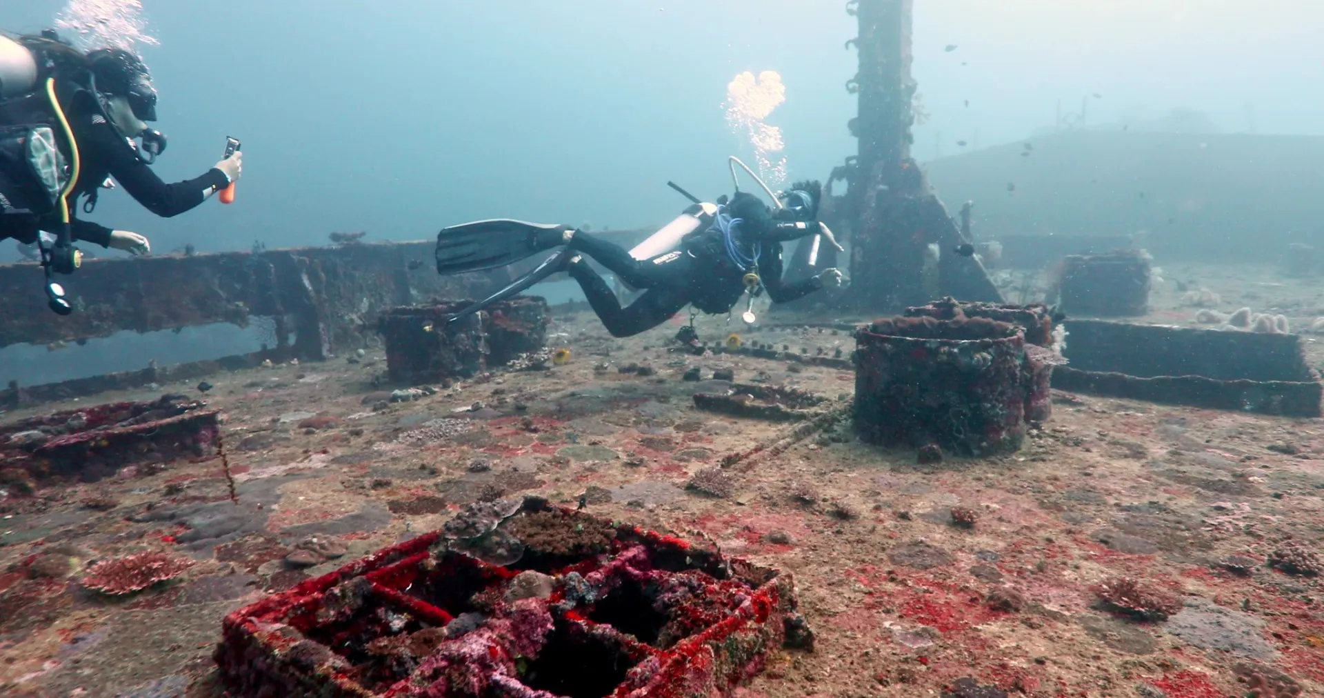Camia II Wreck
