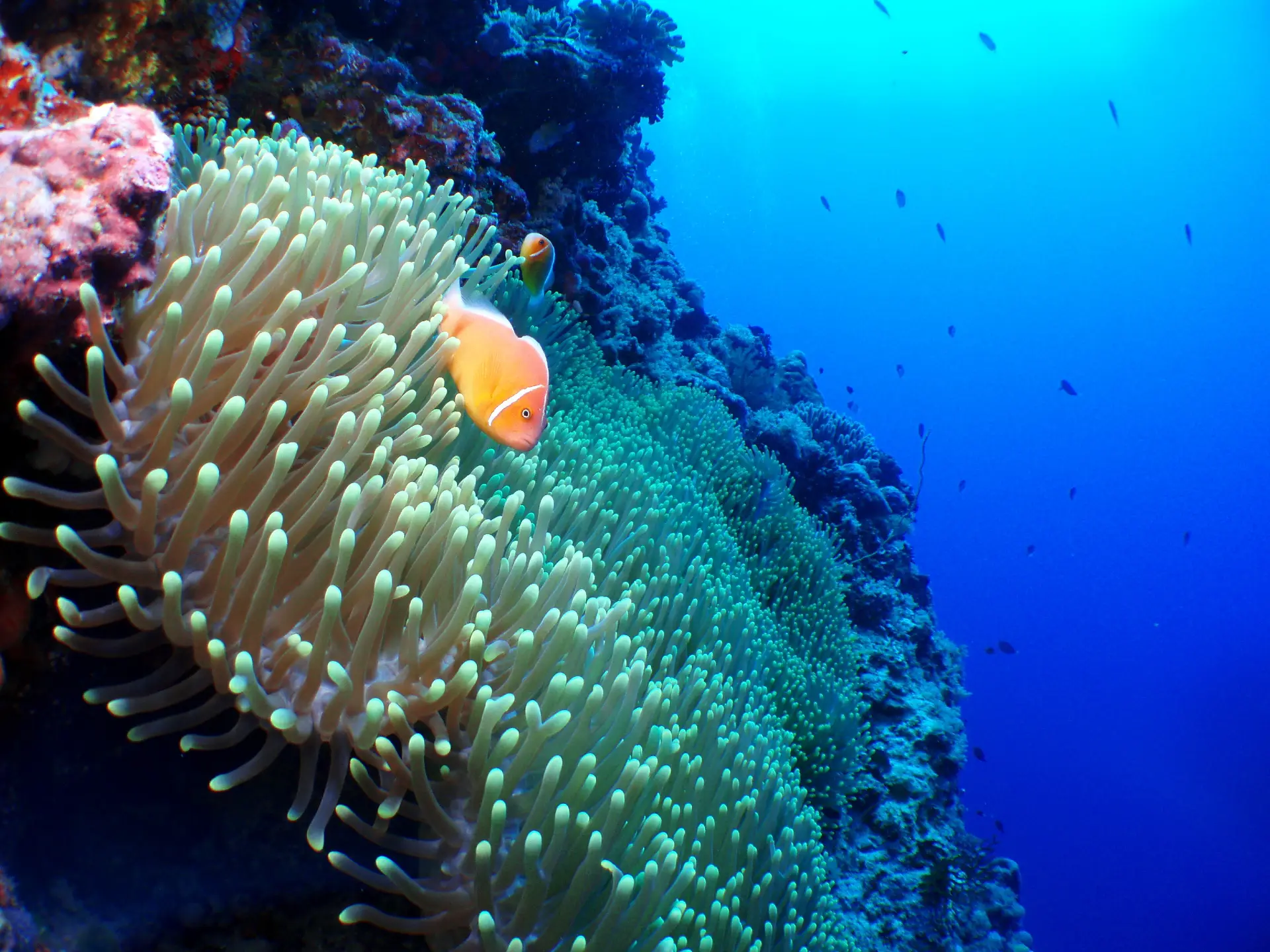 Marine Sanctuary