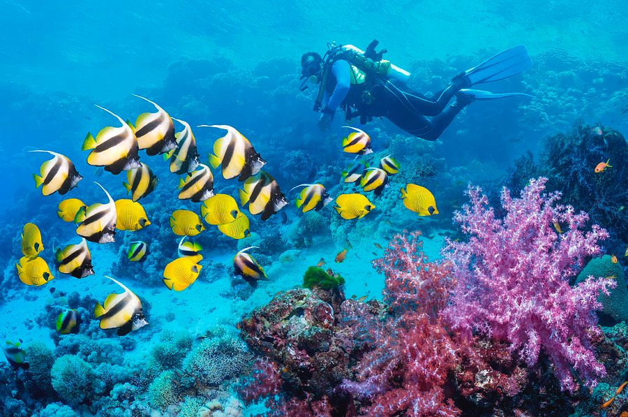 Discover Scuba Diving Boracay