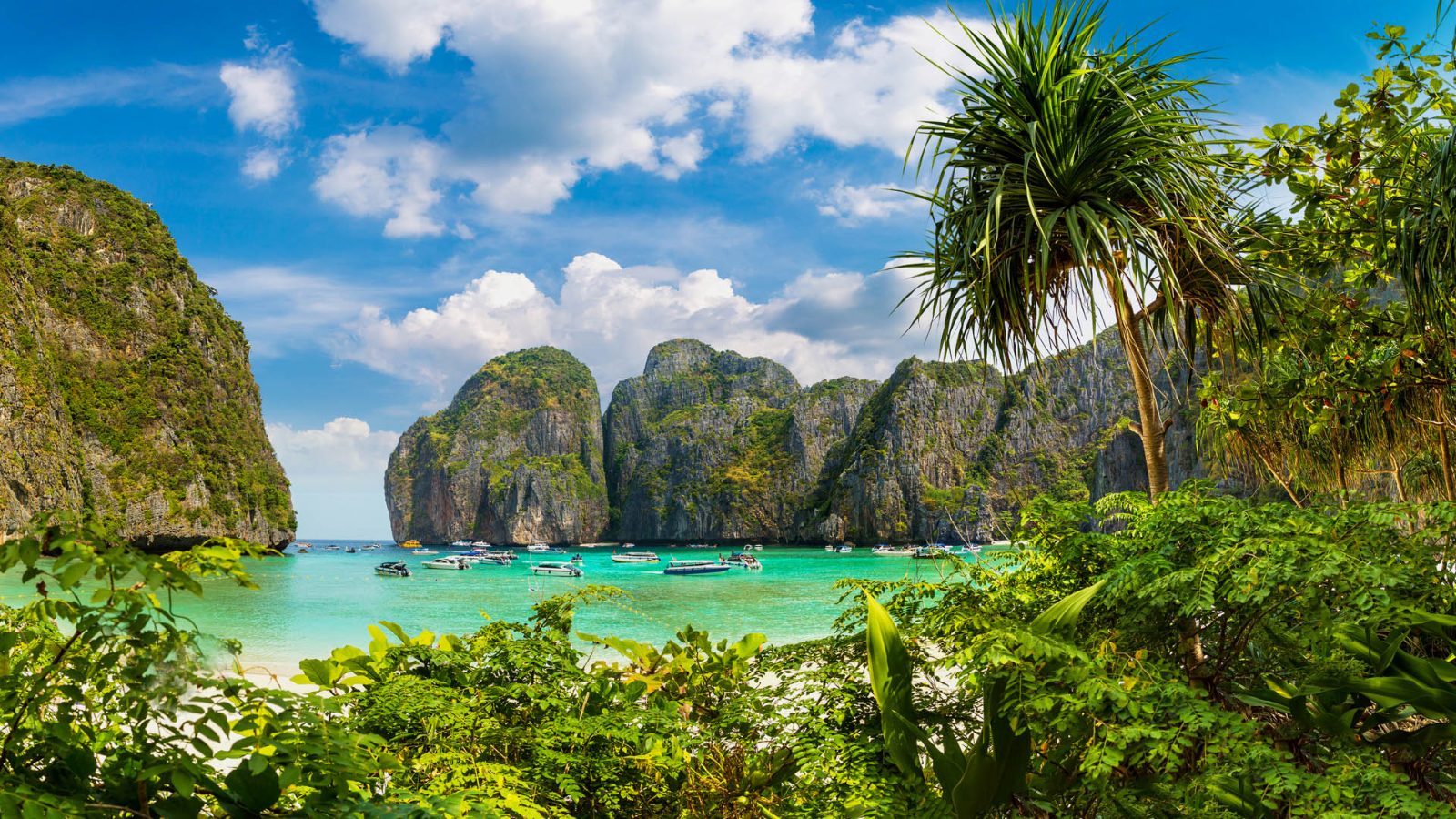 Maya Bay