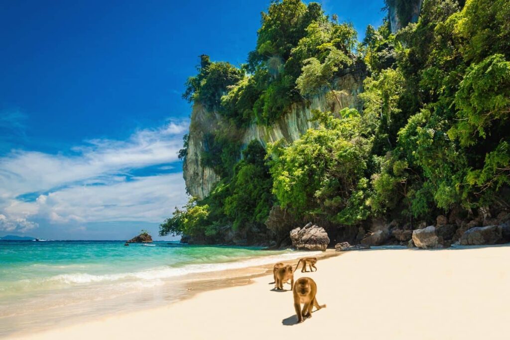 Swimming at Monkey Beach
