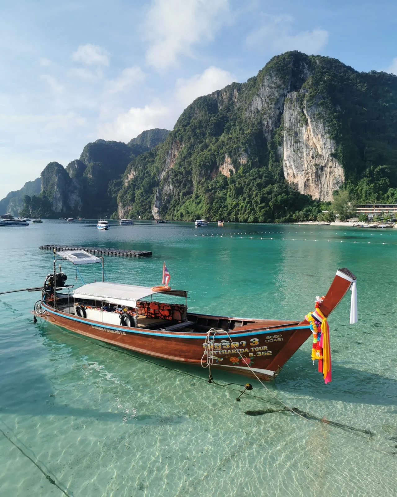 Maya Bay Shoreline