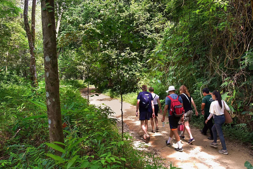 Khao Sok Jungle Trail