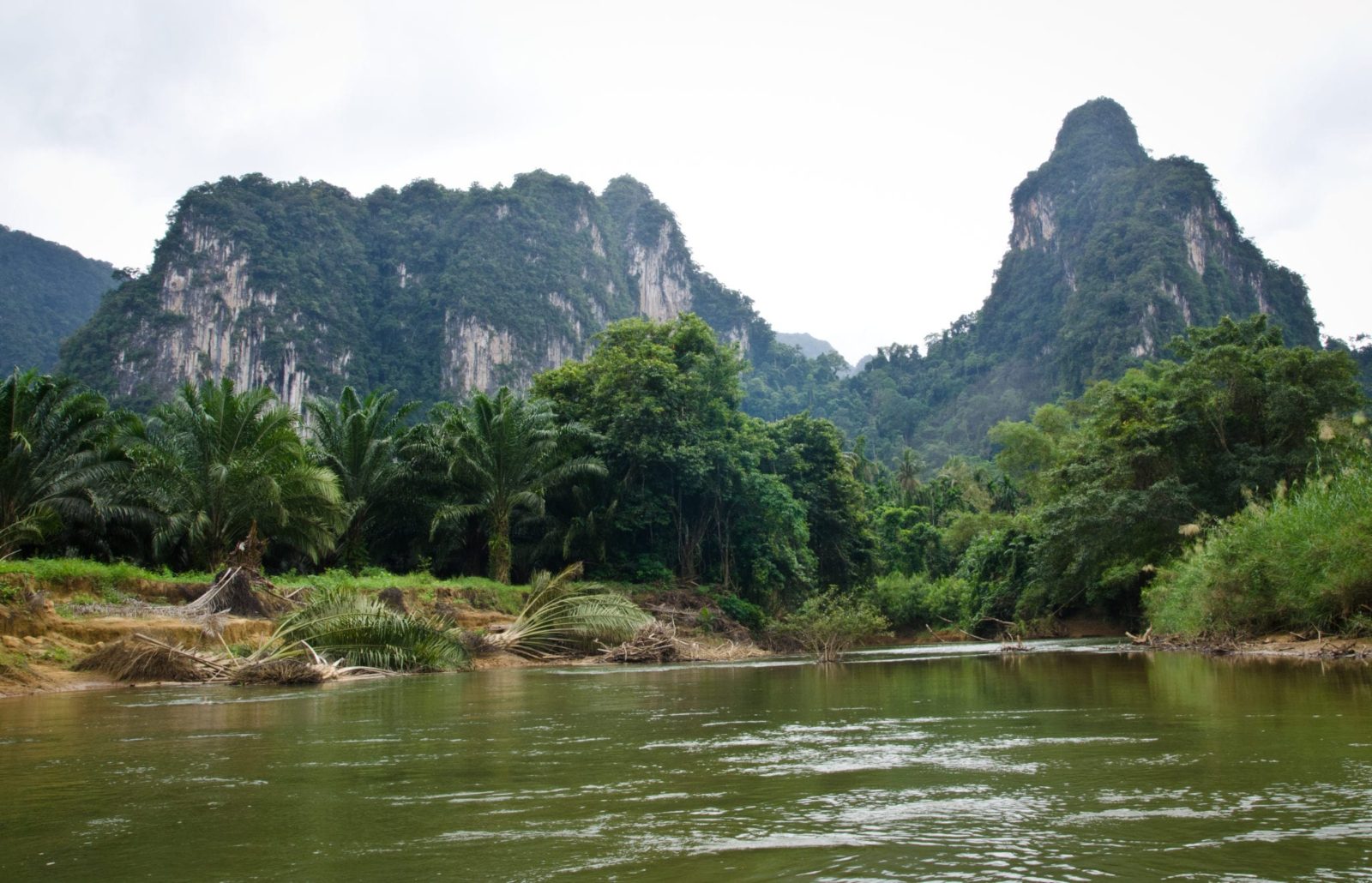 River Canopy Corridor