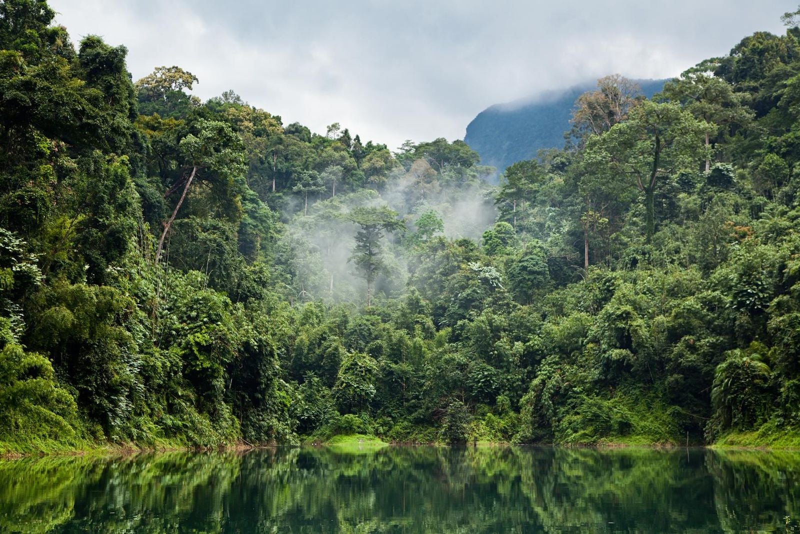 Khao Sok River Canopy