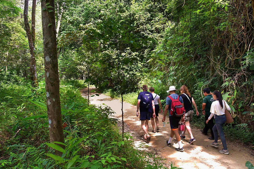 Khao Sok Tour 1 Day