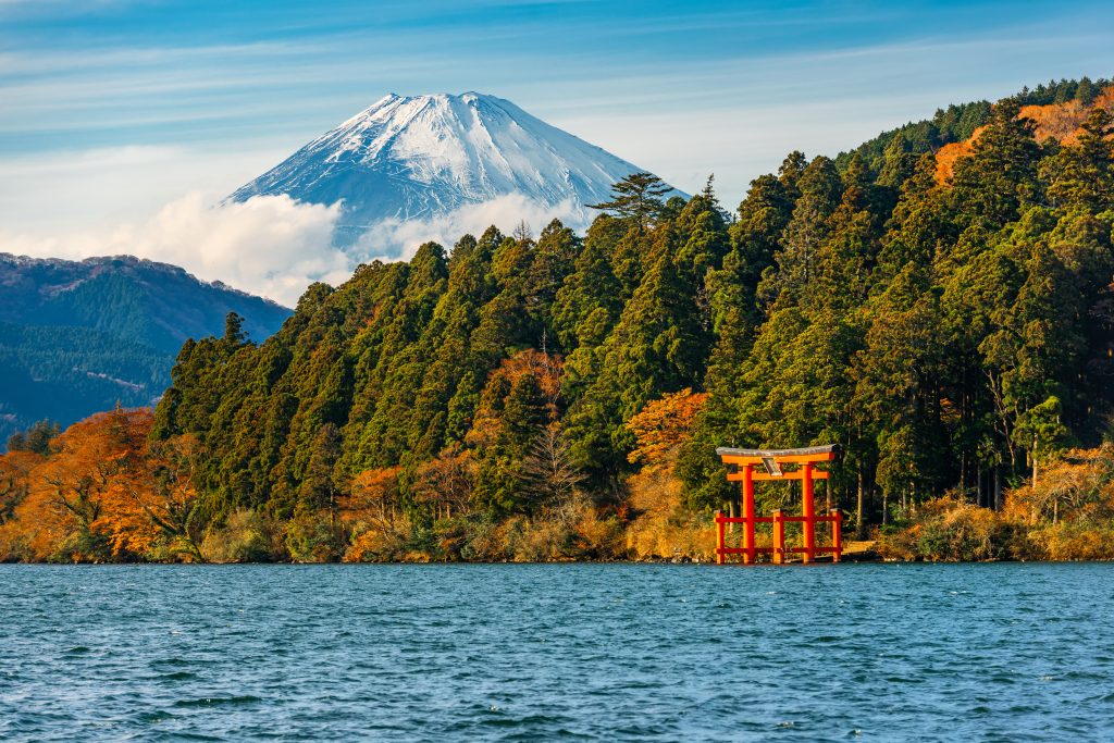 Day Tour From Tokyo to Hakone