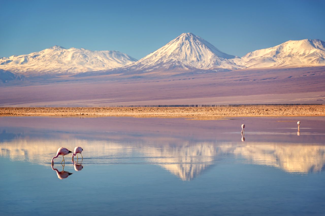 Salar de Atacama