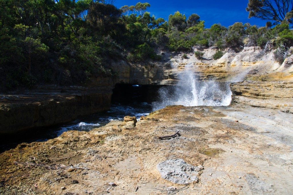 Blowhole Spray