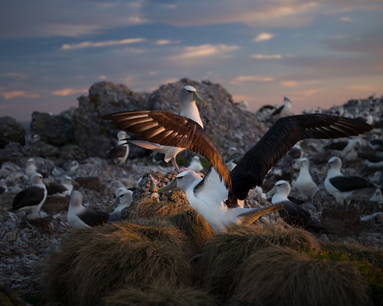 Nature Reserve