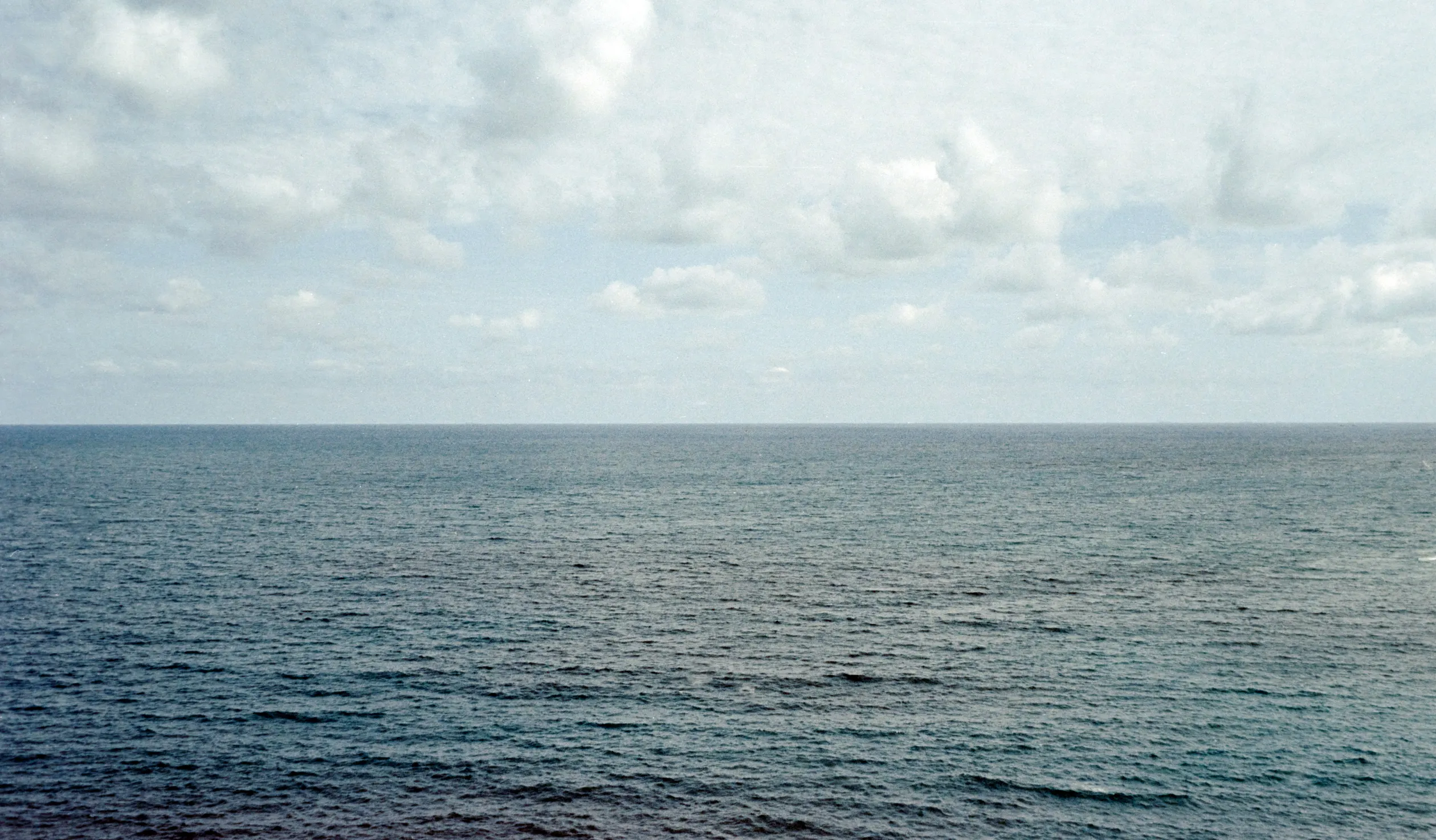 Coastline Views