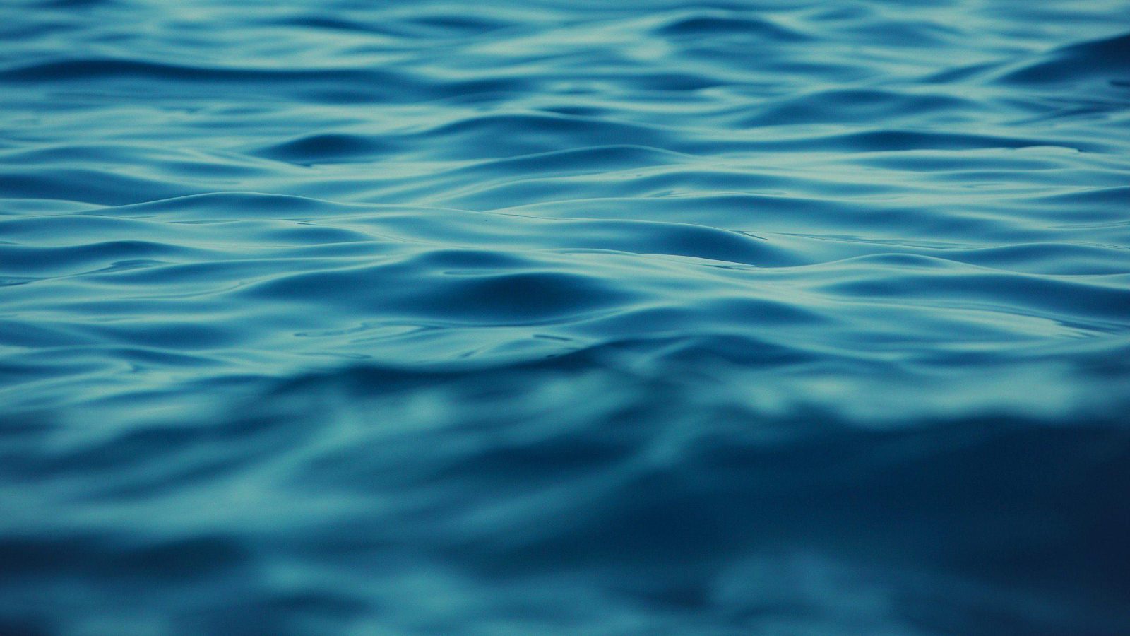 Marine Life Zones