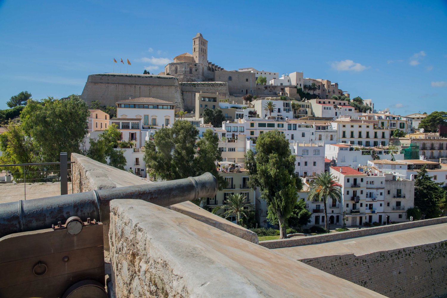 Dalt Vila Viewpoint