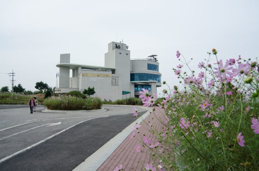 Peace Observatory