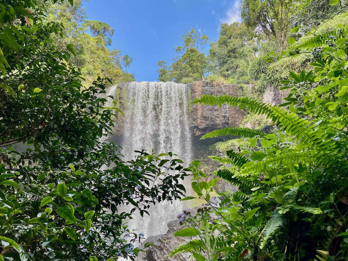 Half Day Waterfall Tour Cairns