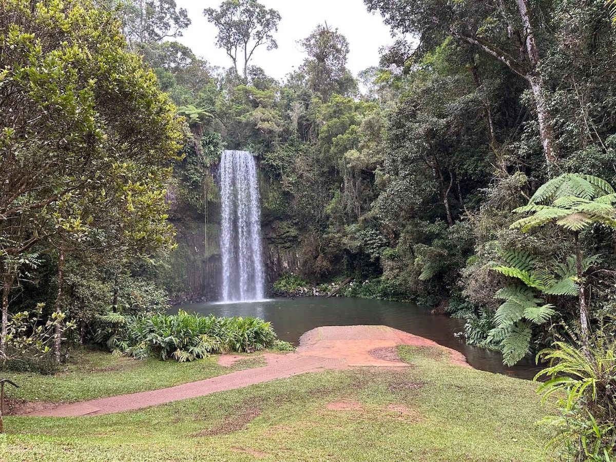Millaa Millaa Falls Side Profile