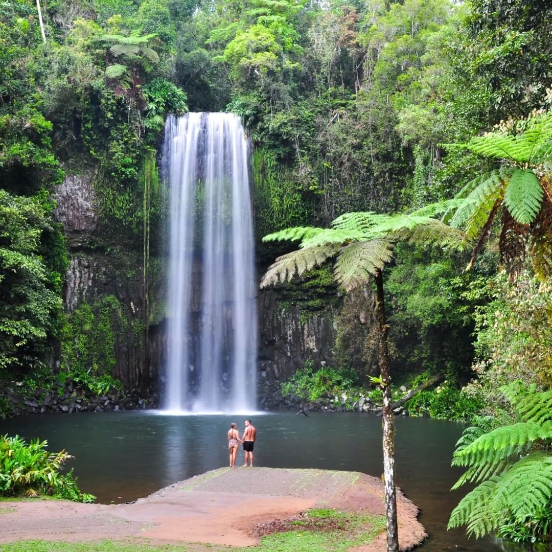 Waterfall Circuit Tour Cairns