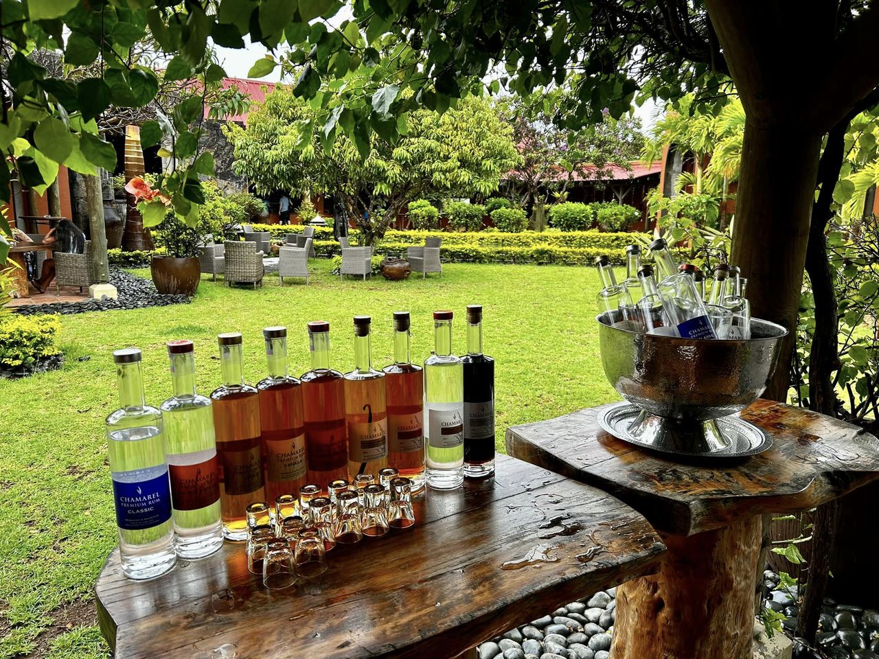 Tasting Area
