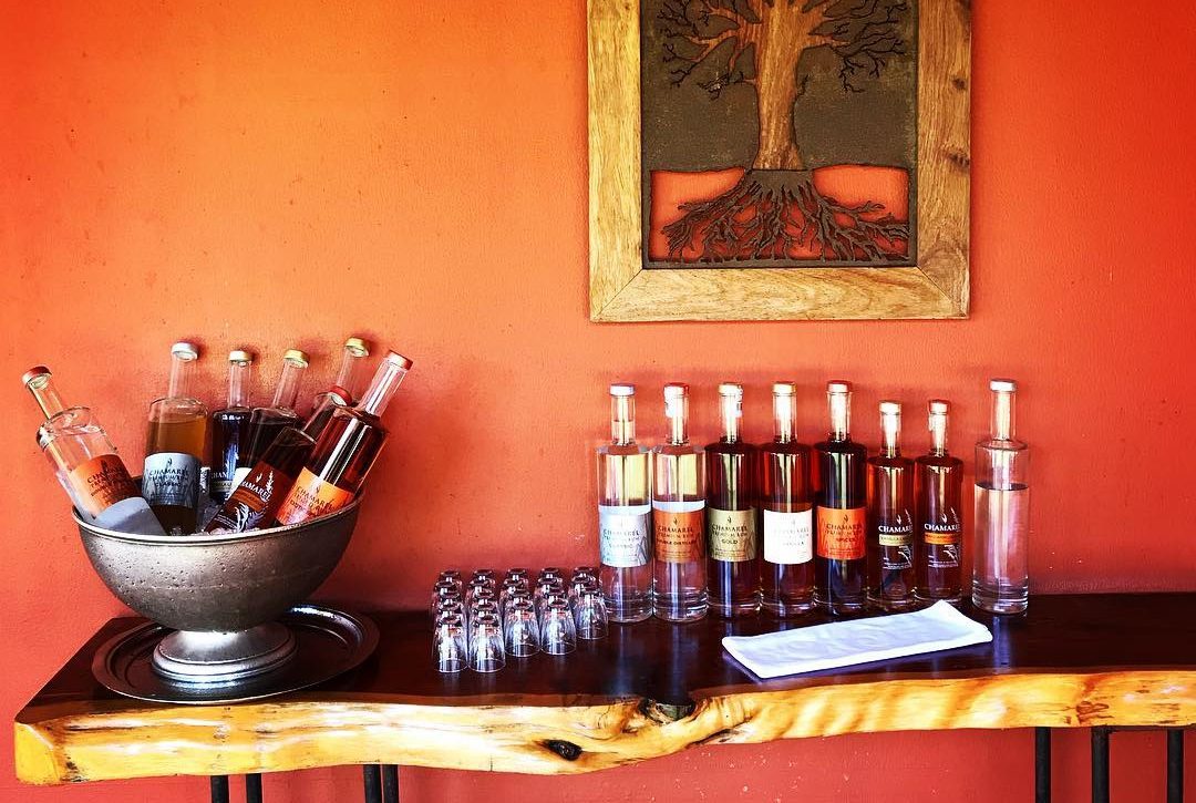 Bar Tasting Counter