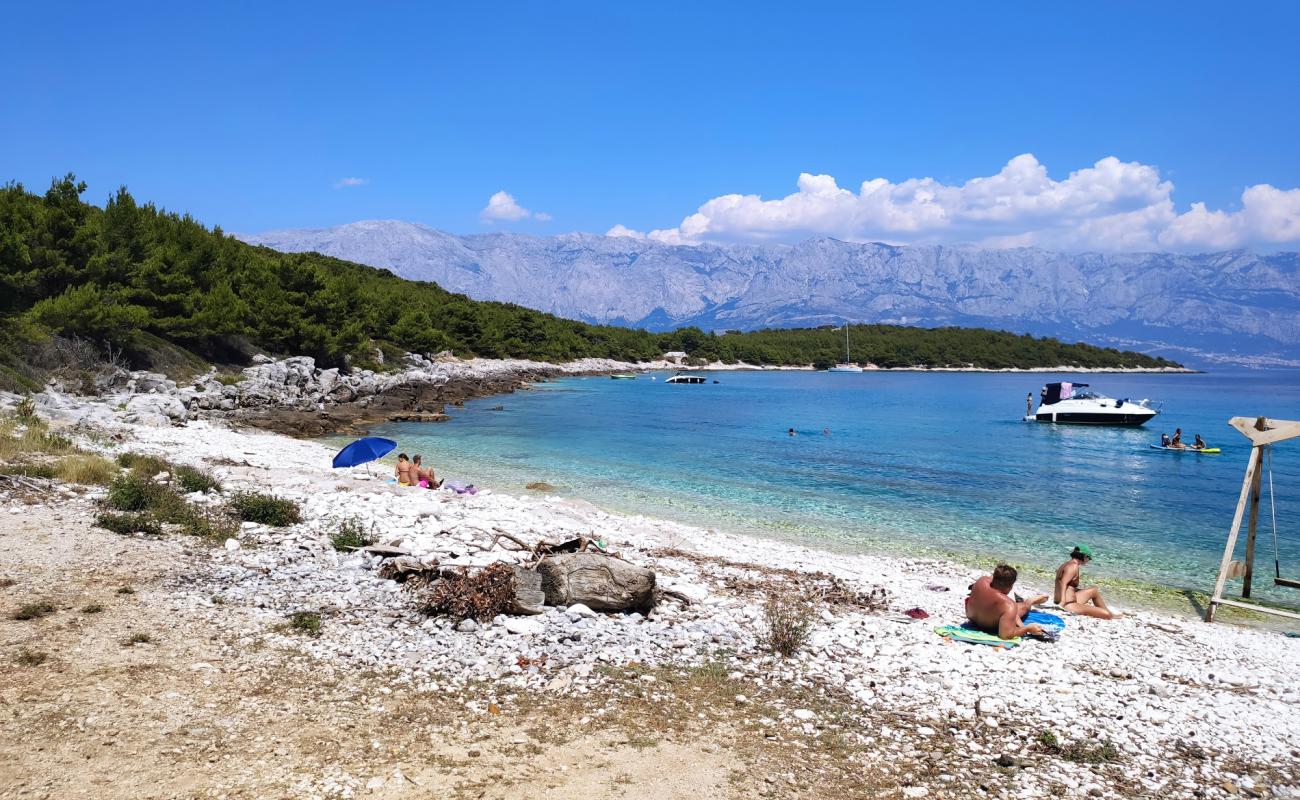 Puntica Cove Sea Swing (Brač Island)
