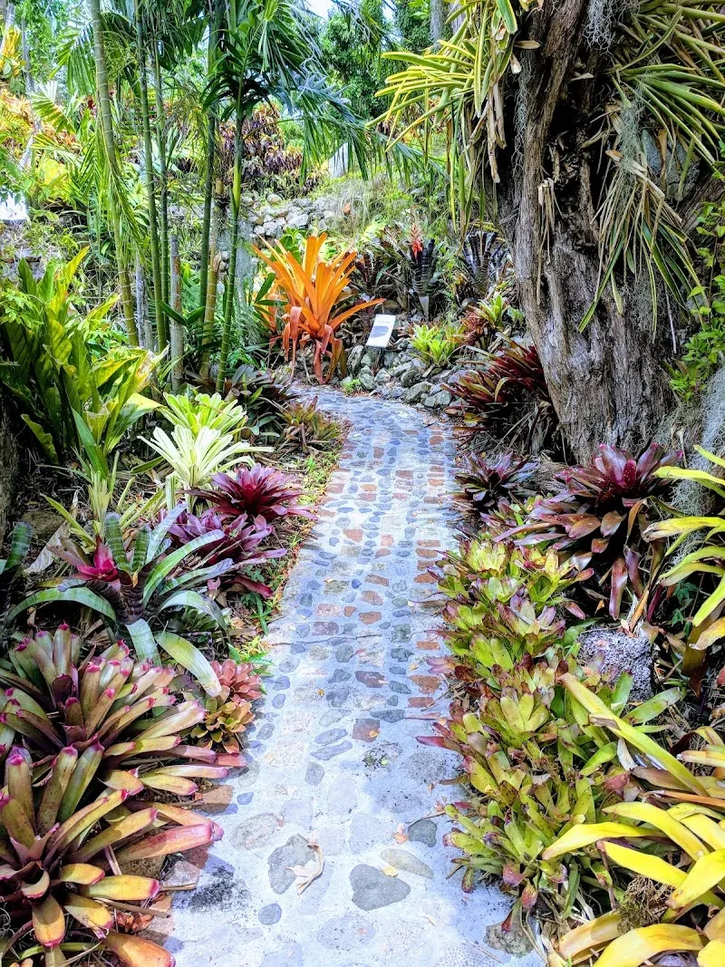 Botanical Garden Path