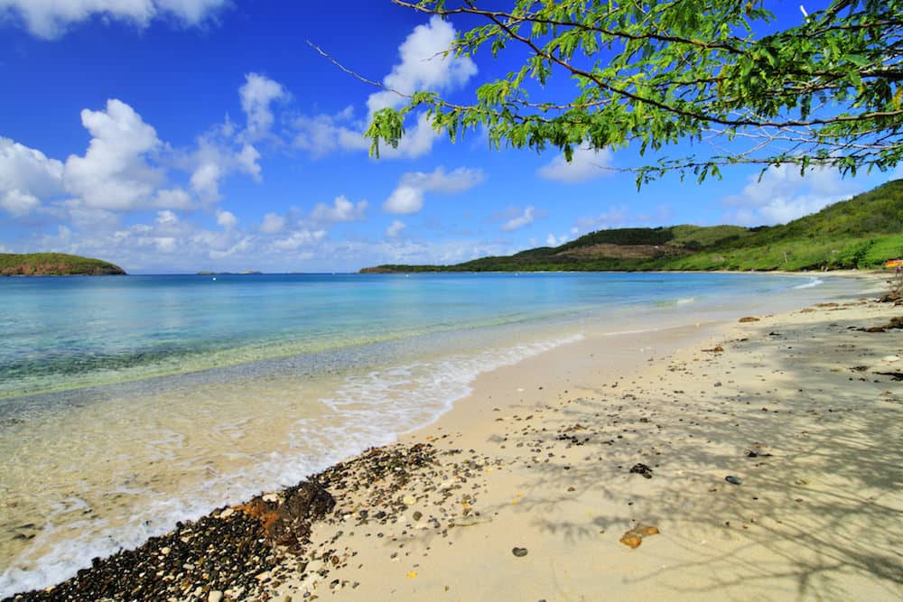 Tamarindo Beach Reef