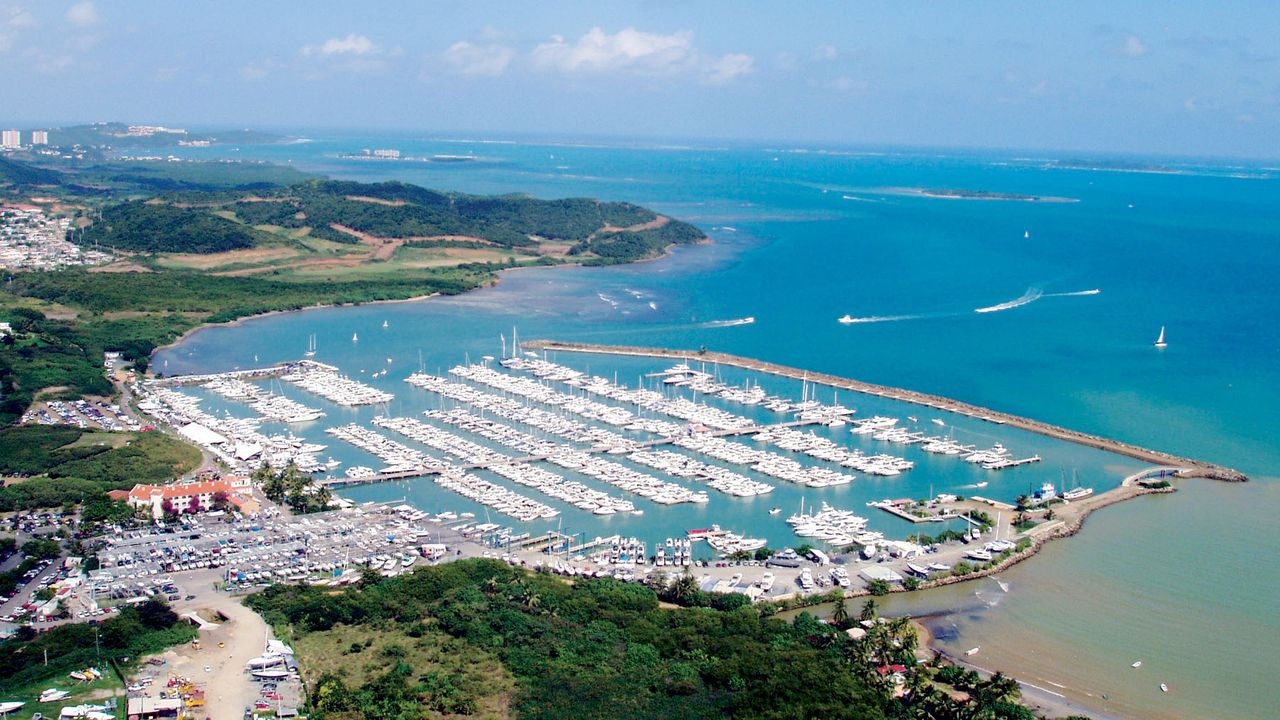 Marina Puerto Del Rey