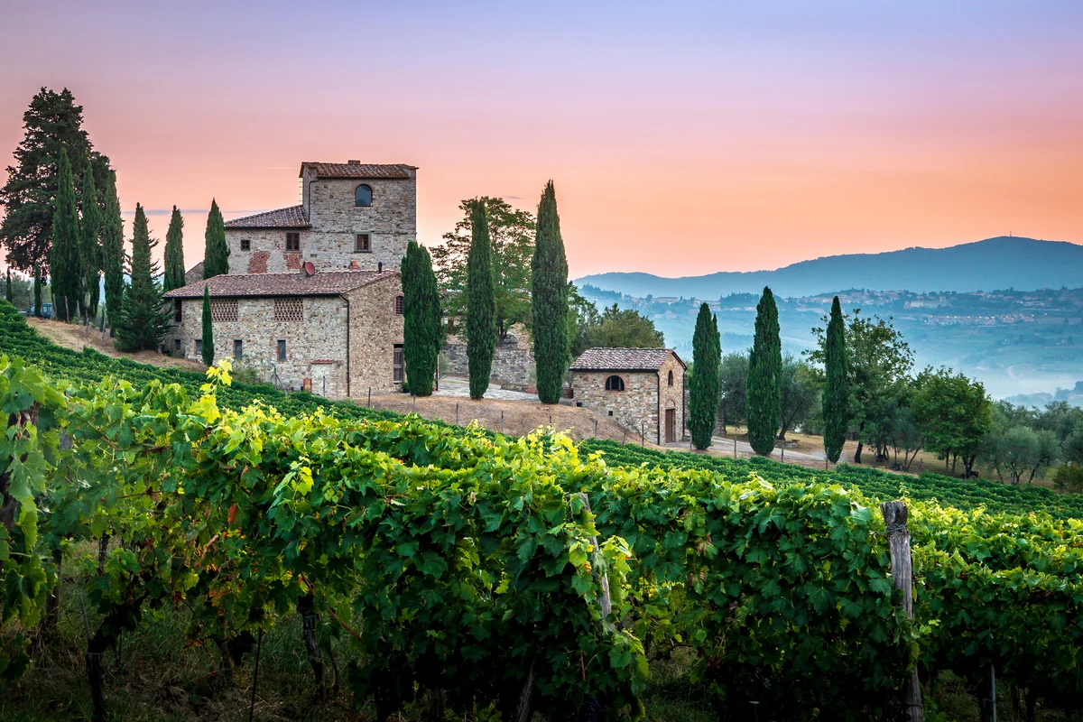 Tasting Terraces