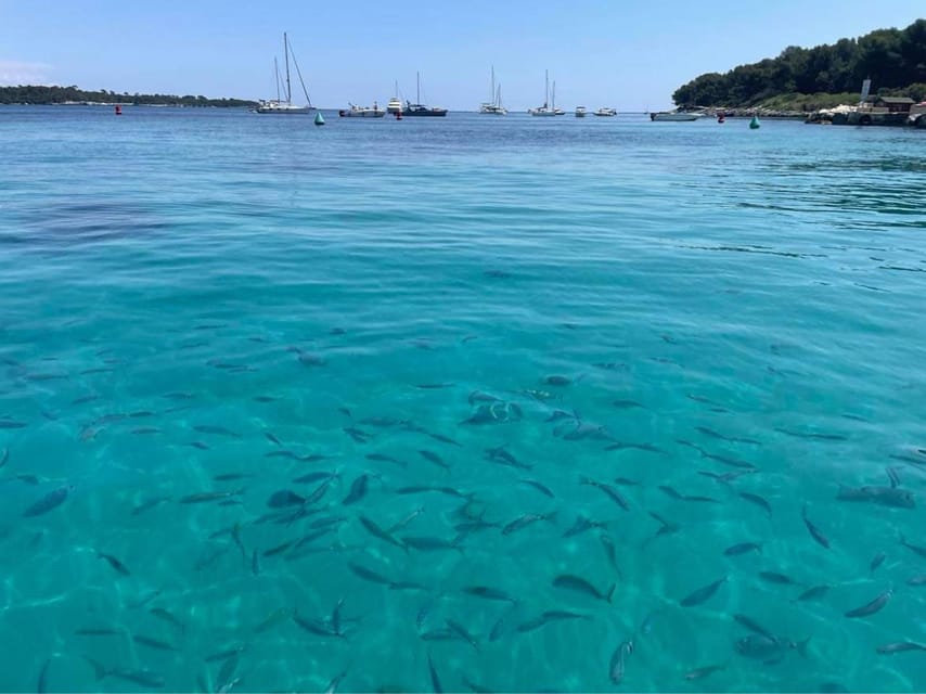 Marine Sanctuary