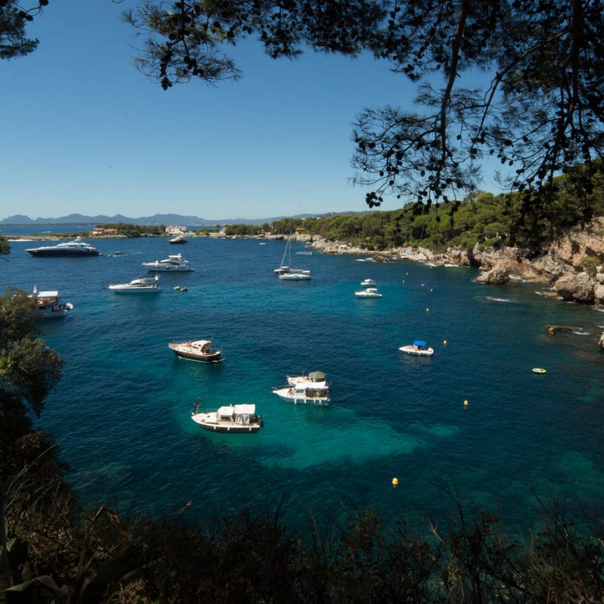 Rocky Coves