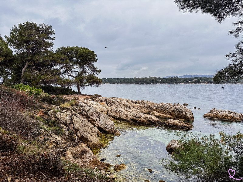 Saint-Honorat Rocky Coast