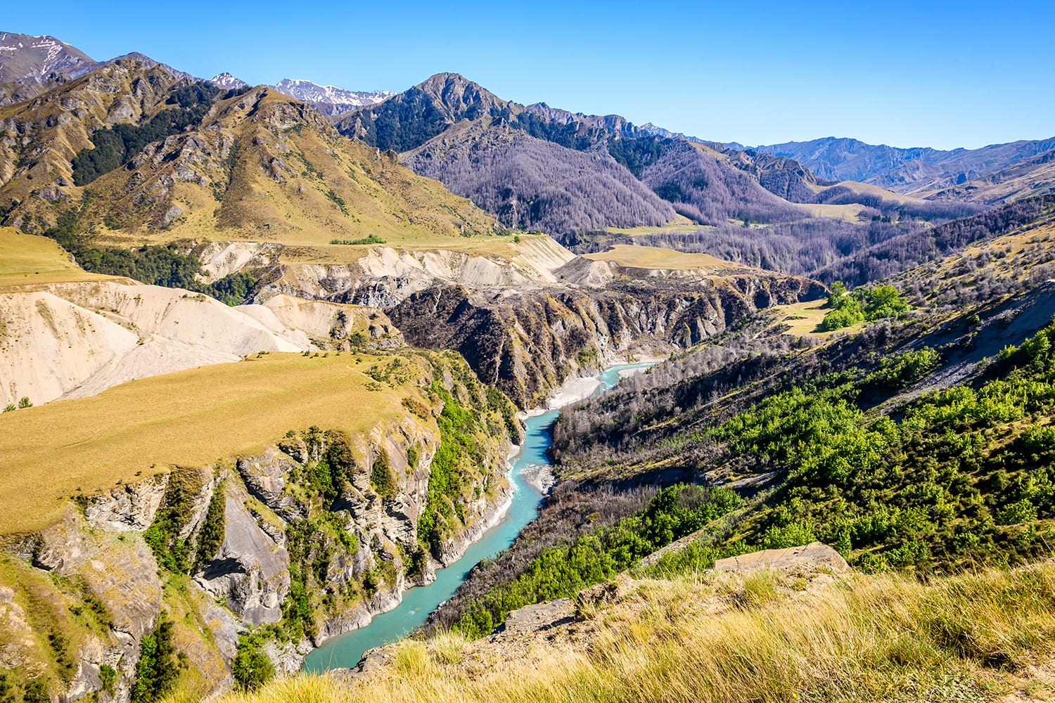 Shotover River Corridor