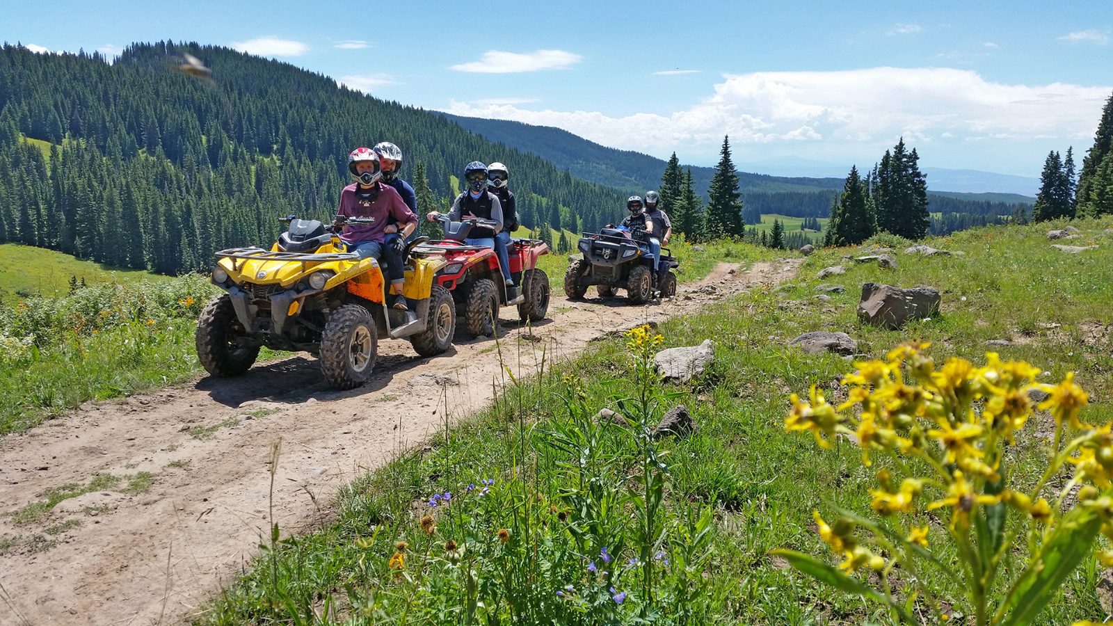 Atv Quad Bike Queenstown